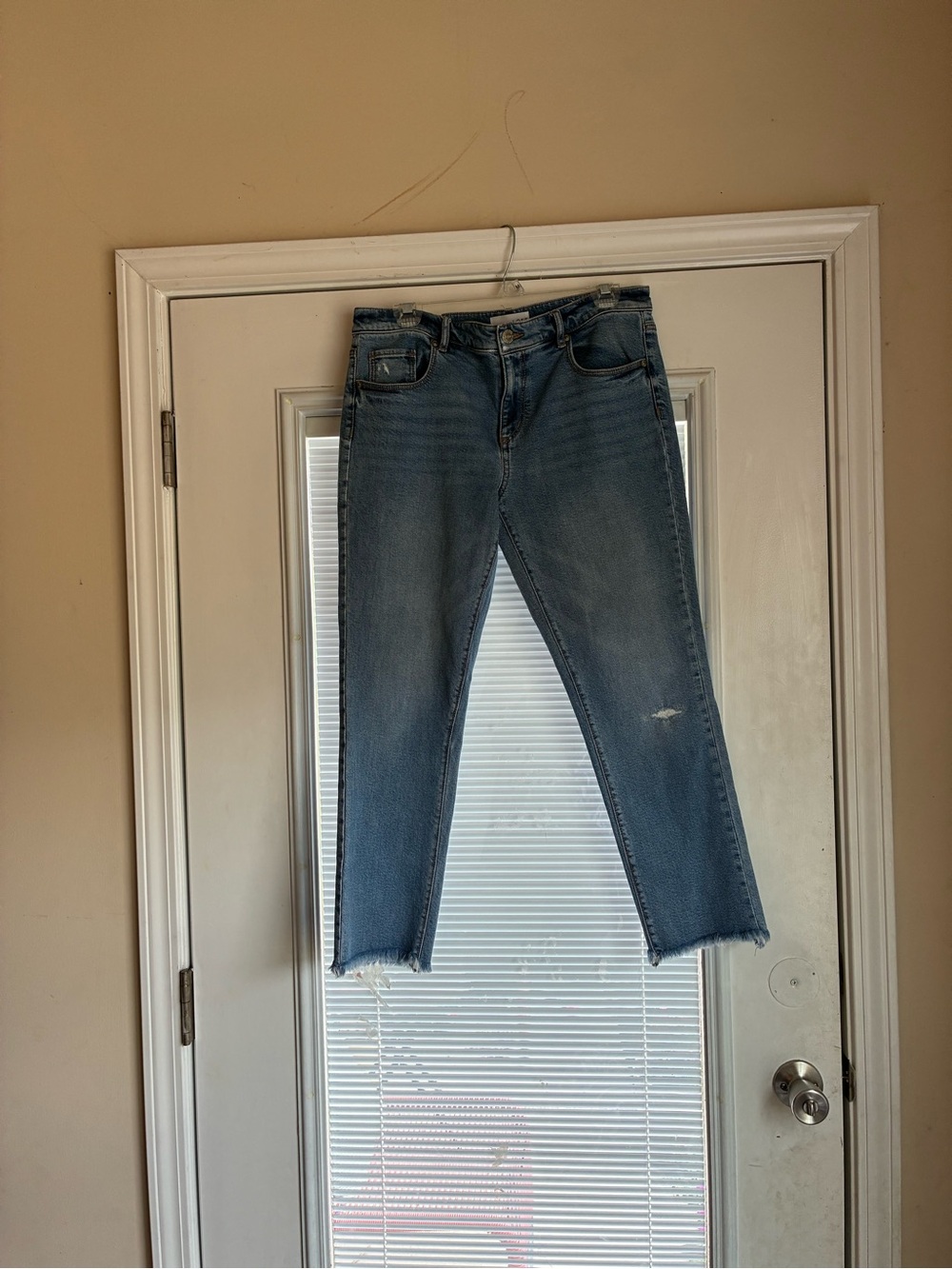 Women’s LOFT Straight Leg Cropped Jeans 8